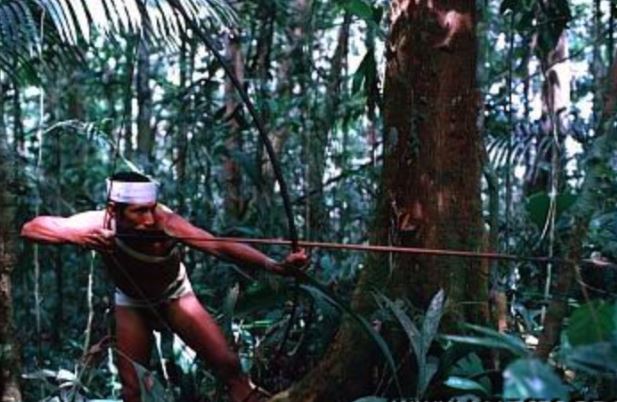 Bộ lạc sử dụng chất kích thích trước khi đi săn, tỉnh táo đến tận vài ngày; tất cả người trong làng đều có chung huyết thống