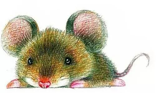 Các con giáp sẽ gặp may mắn gì sau tuổi trung niên?