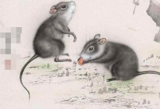 5 con giáp là 'cỗ máy hút tiền' tự nhiên, giỏi kiếm tiền và dễ dàng giàu có hơn người