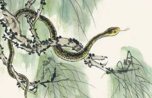 Ba con giáp sau 40 tuổi thoát khỏi vận đen, tương lai nhất định sẽ tươi sáng vô hạn