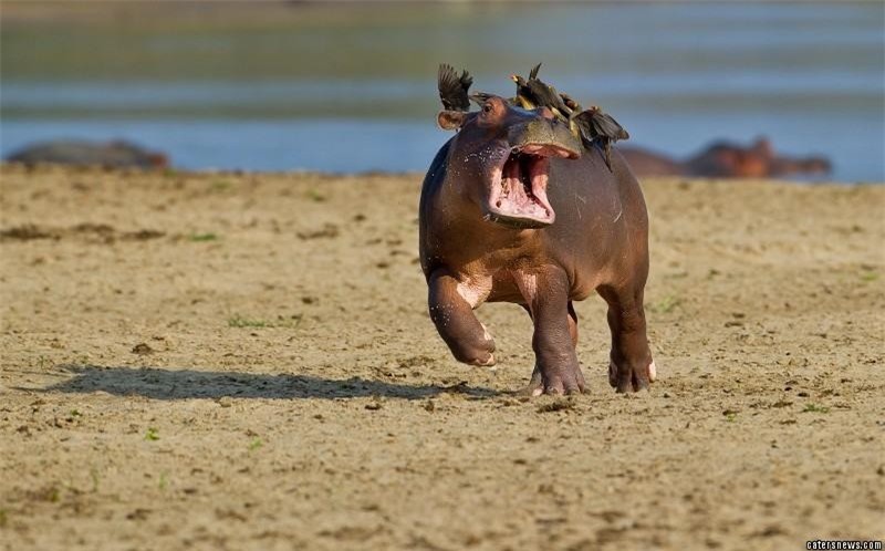 Tìm mọi cách để loại bỏ những kẻ đáng ghét ra khỏi người. Tìm mọi cách để loại bỏ những kẻ đáng ghét ra khỏi người.