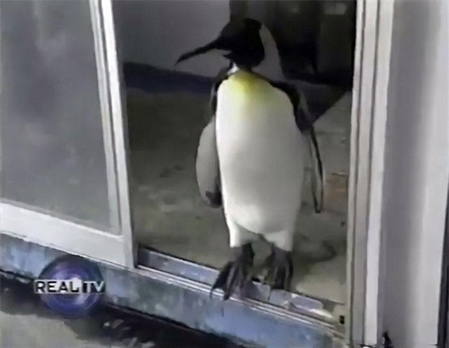 "Cung điện" của Lala với trang bị điều hòa tiện nghi, đầy đủ.