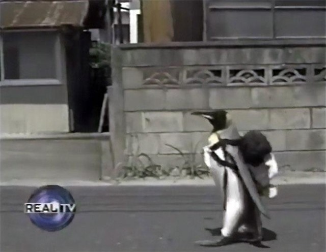 Tung tăng trên chuyến hành trình dạo trên phố phường, dạo qua thị trường của Lala