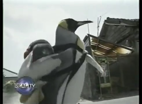 Đương nhiên Vua thì phải có thần thái riêng, không giống ai rồi.