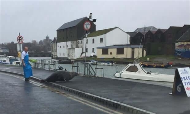 Ăn no xong thì Sammy đi về.