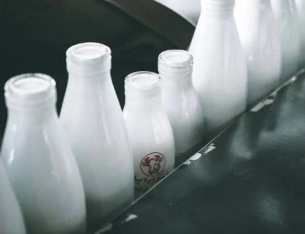 Sữa hay sữa chua, cái nào bổ sung canxi nhiều hơn? Cái nào có giá trị dinh dưỡng cao hơn? 