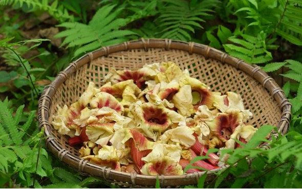 Đặc sản xưa rụng đầy không ai biết đến, giờ làm thành ngon khó cưỡng, dân thành phố "ưa chuộng"