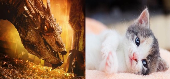 Có ba con giáp sinh ra sẽ có vận may: Một là xinh đẹp, một là giàu có, một là sống lâu