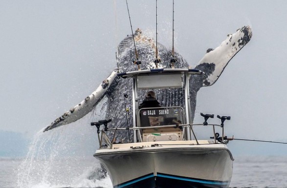 Clip: Tuyệt tác tạo ra từ sự ngẫu nhiên