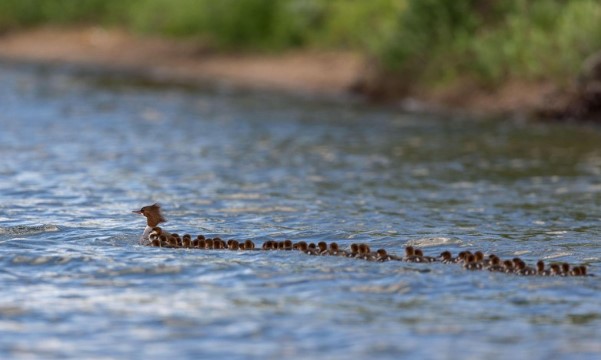 Clip: Kho&#x1EA3;nh kh&#x1EAF;c xu&#x1EA5;t th&#x1EA7;n thay &#x111;&#x1ED5;i c&#x1EA3; cu&#x1ED9;c &#x111;&#x1EDD;i ng&#x1B0;&#x1EDD;i nhi&#x1EBF;p &#x1EA3;nh gia v&#xF4; danh