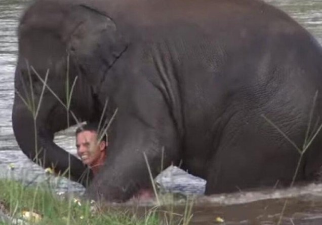 Clip: Thoáng nhìn thấy người đuối nước, con voi lao thẳng xuống sông để cứu