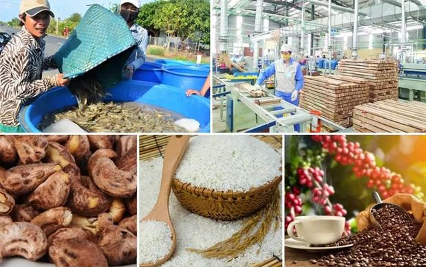 Xuất khẩu nông lâm thủy sản: Định vị thương hiệu để giá trị tăng trưởng bền vững