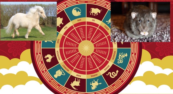 Bất ngờ liên miên, tài lộc tăng đột biến, vận may và hạnh phúc trọn vẹn cho 3 con giáp