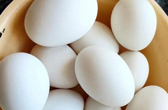 Tại sao ít người ăn trứng ngỗng? Đọc xong sẽ ngỡ ngàng vì quá hợp lý!