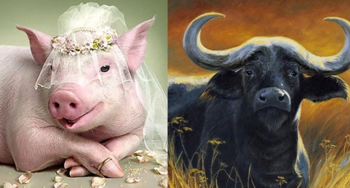 2 năm tới: 3 tuổi hết Tam Tai rũ sạch tai ương Tiền - Tình -Danh lên đỉnh, nhất là vị trí thứ 3