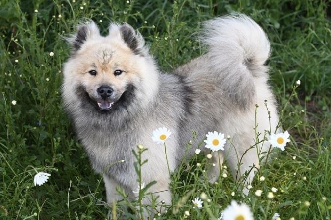 Từ tháng 6 đến tháng 9, vận mệnh của 3 con giáp sẽ đảo chiều, ước mơ sẽ sớm trở thành sự thật