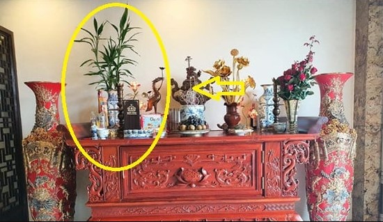 Đừng đặt hoa cúc lên bàn thờ nữa: Đây mới là những loại mang nhiều tài lộc cho gia chủ