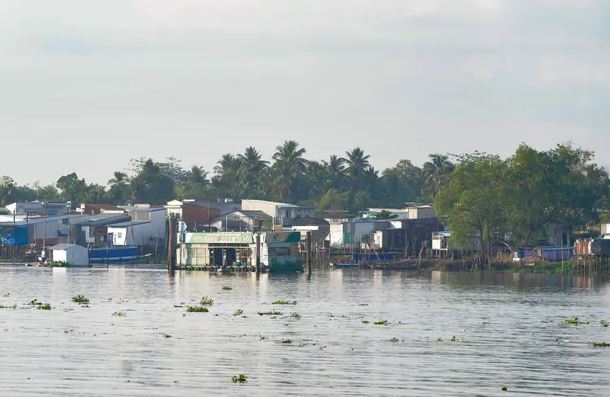 Ngăn ngừa, ứng phó với các bệnh truyền nhiễm liên quan đến biến đổi khí hậu
