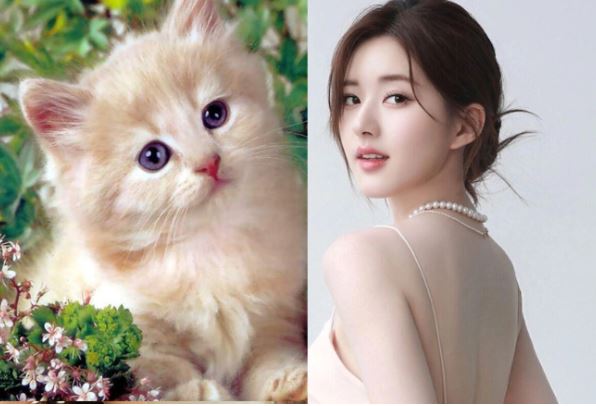 Bước qua tháng 5 âm lịch, 3 con giáp Cát Tinh chiếu rọi, thành công kéo đến, chạm tay vào may mắn, năng lượng giàu có vây quanh