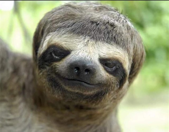 Luôn vui tươi trong mọi hoàn cảnh.