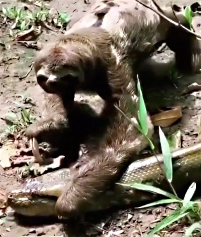 Ghét nhất là bị chặn đường...