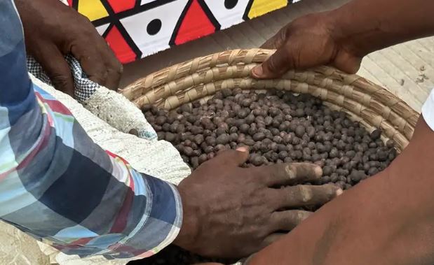 Đằng sau 'cơn bão' trên thị trường cà phê toàn cầu