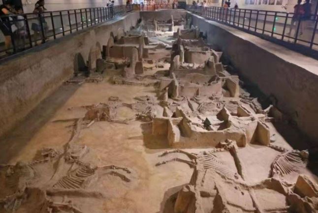 Những việc phi tần bị ép buộc phải làm trước khi tuẫn táng theo hoàng đế. Đó là gì?