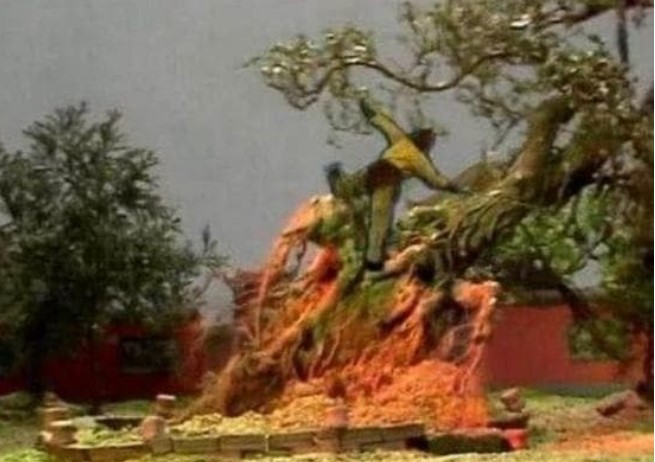 Trong 'Tây Du Ký', dù biết là quả quý nhưng vì sao Tôn Ngộ Không nhất định phải quật đổ cây Nhân Sâm của Trấn Nguyên đại tiên?