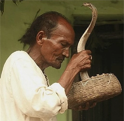 Du khách đến ngôi làng nơi bộ tộc Vadi sinh sống sẽ gặp cảnh những em bé khoác rắn trên cổ, bê rắn đi chơi.