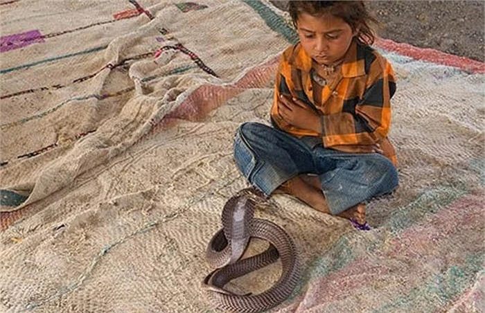 Tất cả trẻ em Vadi đều phải đến một ngôi trường ở làng để học thôi miên rắn và quá trình học môn này kéo dài tới 10 năm.