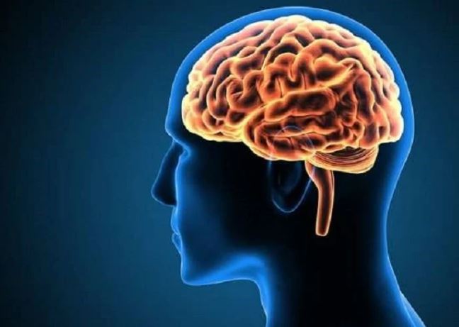 10 hiểu biết sai lầm về não bộ con người