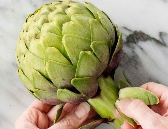 Những loại thảo mộc giúp giải độc gan, phục hồi chức năng gan tốt nhất