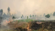 Vườn quốc gia Tràm Chim bất ngờ cháy lớn