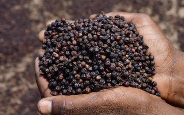 5 doanh nghiệp phản ánh bị "rút ruột" hàng xuất khẩu tại Cát Lái