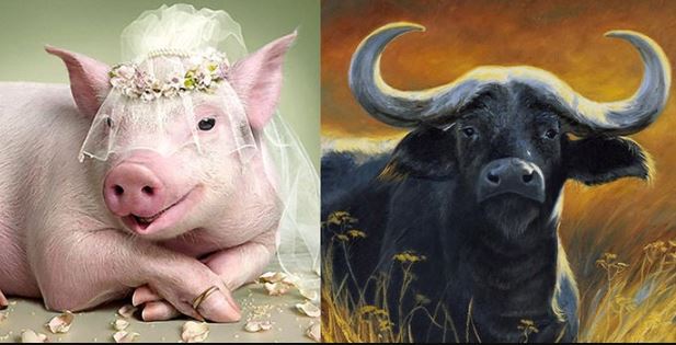 3 năm tới: 3 tuổi hết Tam Tai ăn lộc Bề Trên Tiền - Tình - Danh chạm đỉnh