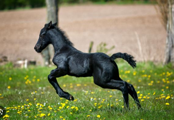 Từ 15/6-15/7, 4 con giáp vận may đảo chiều, sự nghiệp thăng tiến, tài sản tăng vọt khiến người khác ghen tỵ