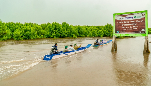 25 ha cánh rừng Net Zero Cà Mau: Tái sinh từ sức sống diệu kỳ 