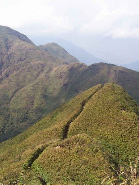 Bảo tồn đa dạng sinh học Vườn quốc gia Hoàng Liên  bằng công nghệ viễn thám