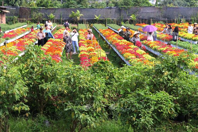 Khi nông dân làm du lịch - Bài 1: Nâng tầm nông sản