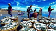Làm sao để xuất khẩu thuỷ sản cán đích 10 tỷ USD năm 2024?