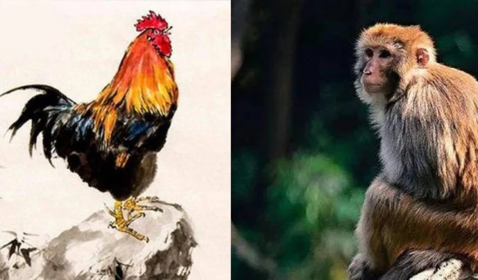 4 con giáp may mắn nhất tháng 6: Cát tinh vây quanh, vạn sự hanh thông, tiền bạc rủng rỉnh