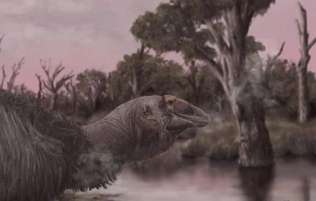 Úc: Phát hiện quái điểu "ác quỷ ngày tận thế", nặng 230 kg