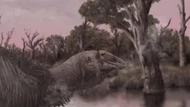 Úc: Phát hiện quái điểu "ác quỷ ngày tận thế", nặng 230 kg
