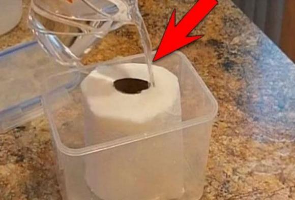 Đổ giấm vào cuộn giấy vệ sinh, kinh nghiệm 'bạc triệu' hữu ích không phải cũng biết