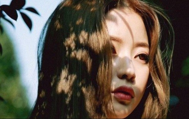 Chị dâu tới chơi lúc giữa trưa, tôi vội bưng bát cơm ra mời, ngờ đâu bị chị hất đổ rồi mách tội với cả nhà