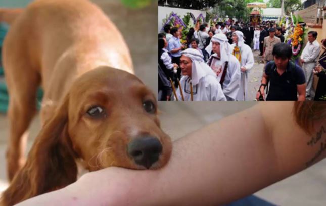 Bí ẩn chuyện người bị chó cắn 'phát dại' khi đến đám tang