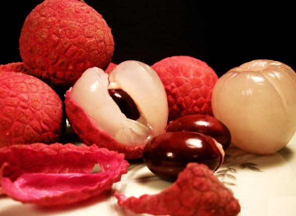 10 b&#xE0;i thu&#x1ED1;c h&#x1EEF;u hi&#x1EC7;u t&#x1EEB; qu&#x1EA3; v&#x1EA3;i