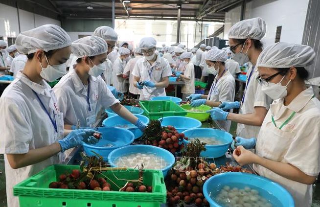 Chỉ dẫn địa lý - công cụ nâng cao giá trị, đẩy mạnh xuất khẩu nông sản Việt