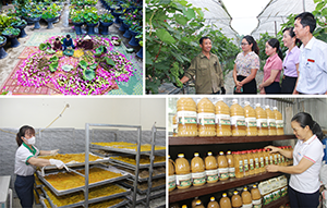 Xây dựng nông thôn mới ở Nghệ An bằng chính sức mạnh lòng dân

 