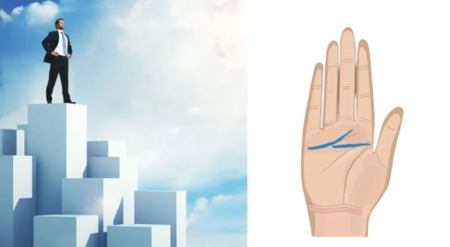 Người có lòng bàn tay như này thường là người có tài lãnh đạo, càng dám xông pha càng thành công